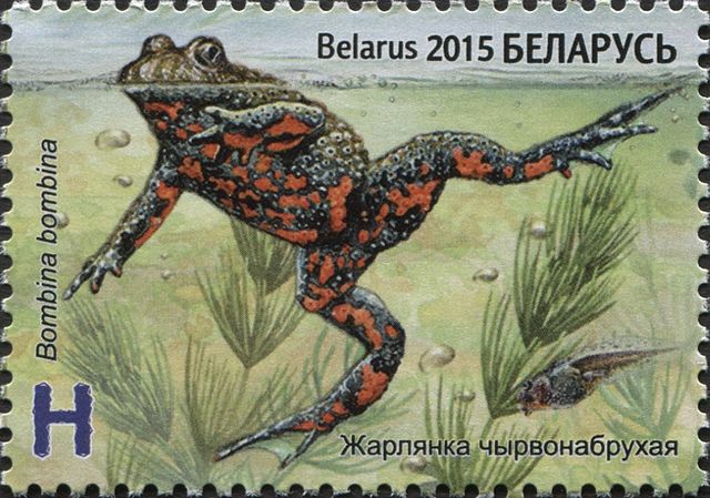 frog stamp