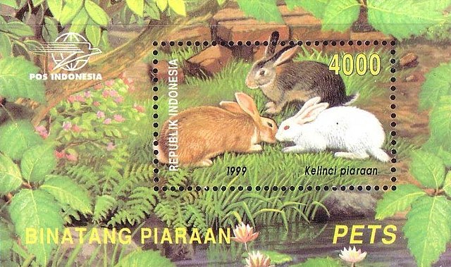 indonesia rabbit stamp