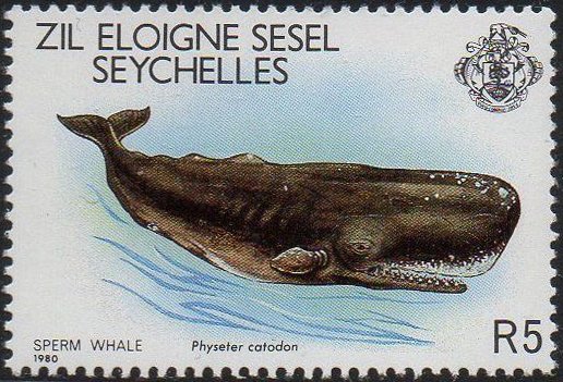 sperm whale stamp