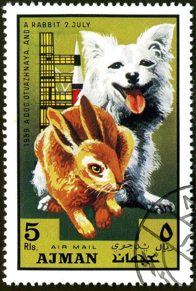 uae rabbit stamp