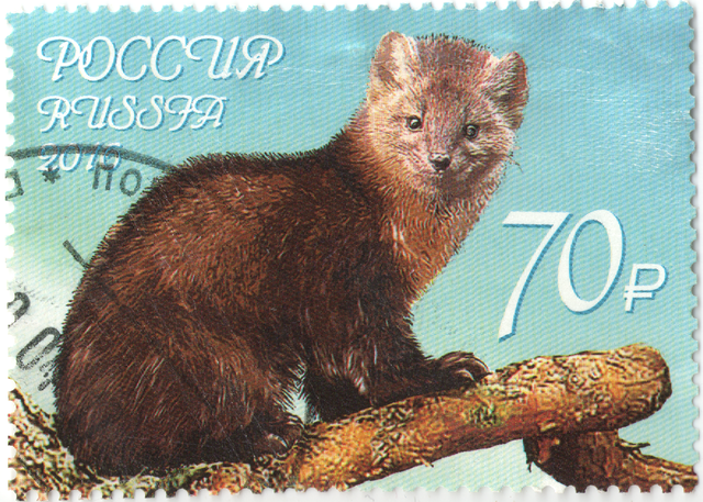 weasel stamp